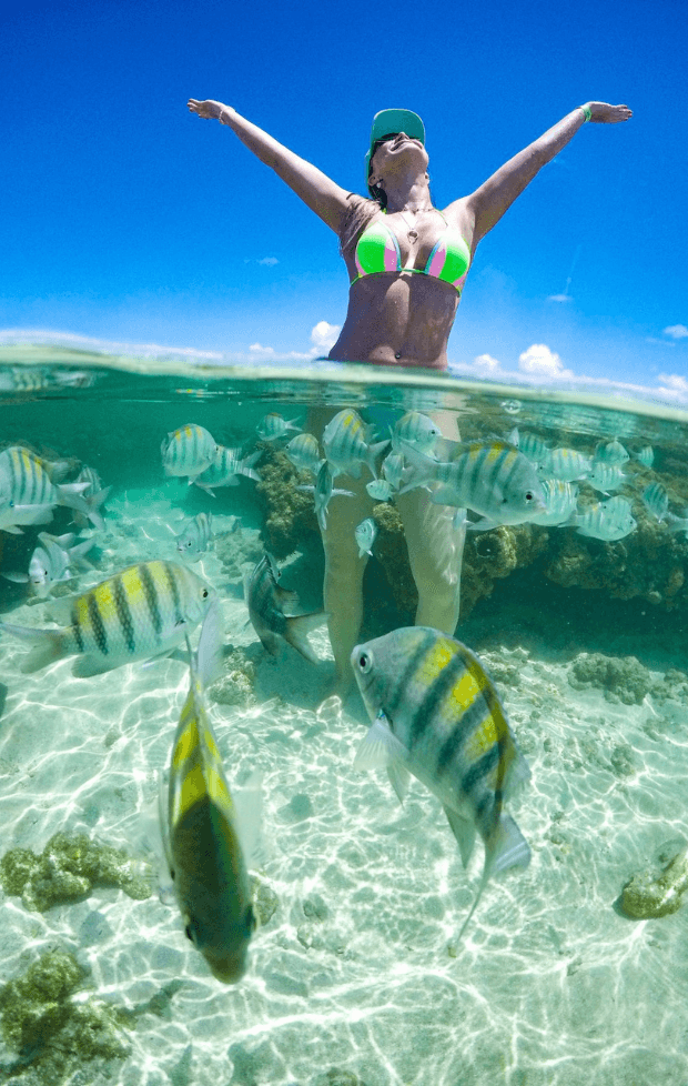 Design sem nome (20)